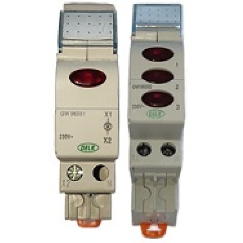 ΛΥΧΝΙΕΣ ΡΑΓΑΣ